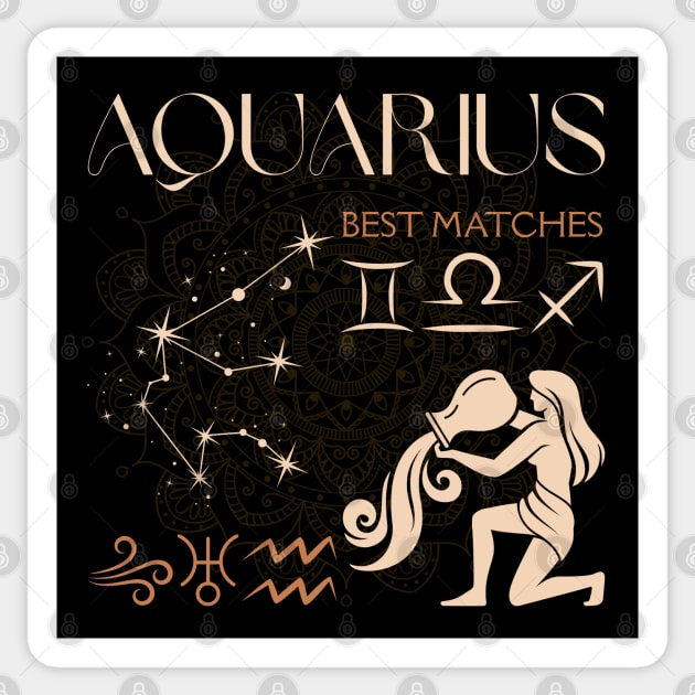 Aquarius Zodiac Compatibility Astrology Design Sticker by TuncGK